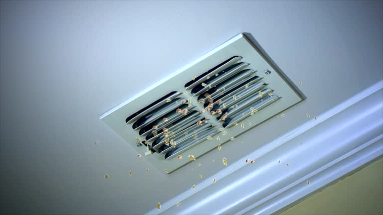 Best Ductwork Cleaning Services  in Harbison Nyon, CA