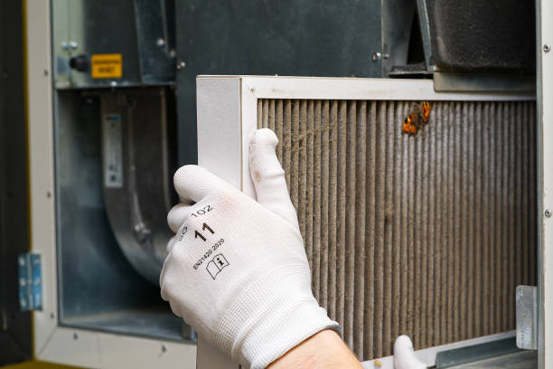 Best Air Duct Cleaning Near Me  in Harbison Nyon, CA
