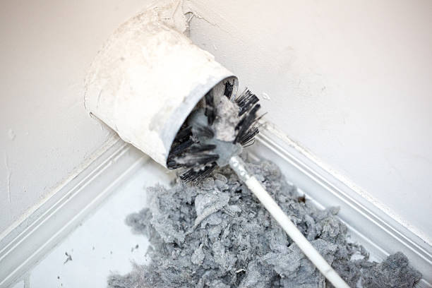 Air Duct Mold Removal in Harbison Canyon, CA